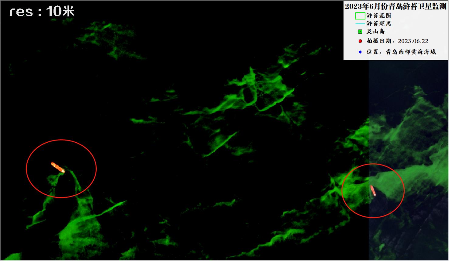 2023年6月22日青岛浒苔10米哨兵卫星影像图片