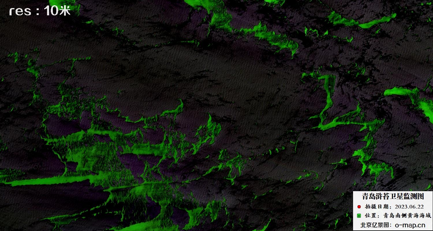 2023年6月22日青岛浒苔10米哨兵卫星影像图片