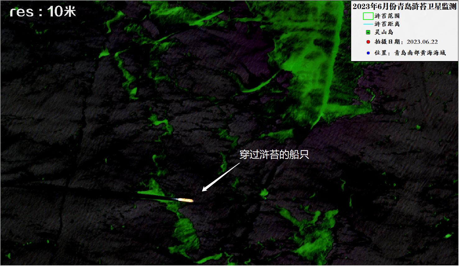 2023年6月22日青岛浒苔10米哨兵卫星影像图片