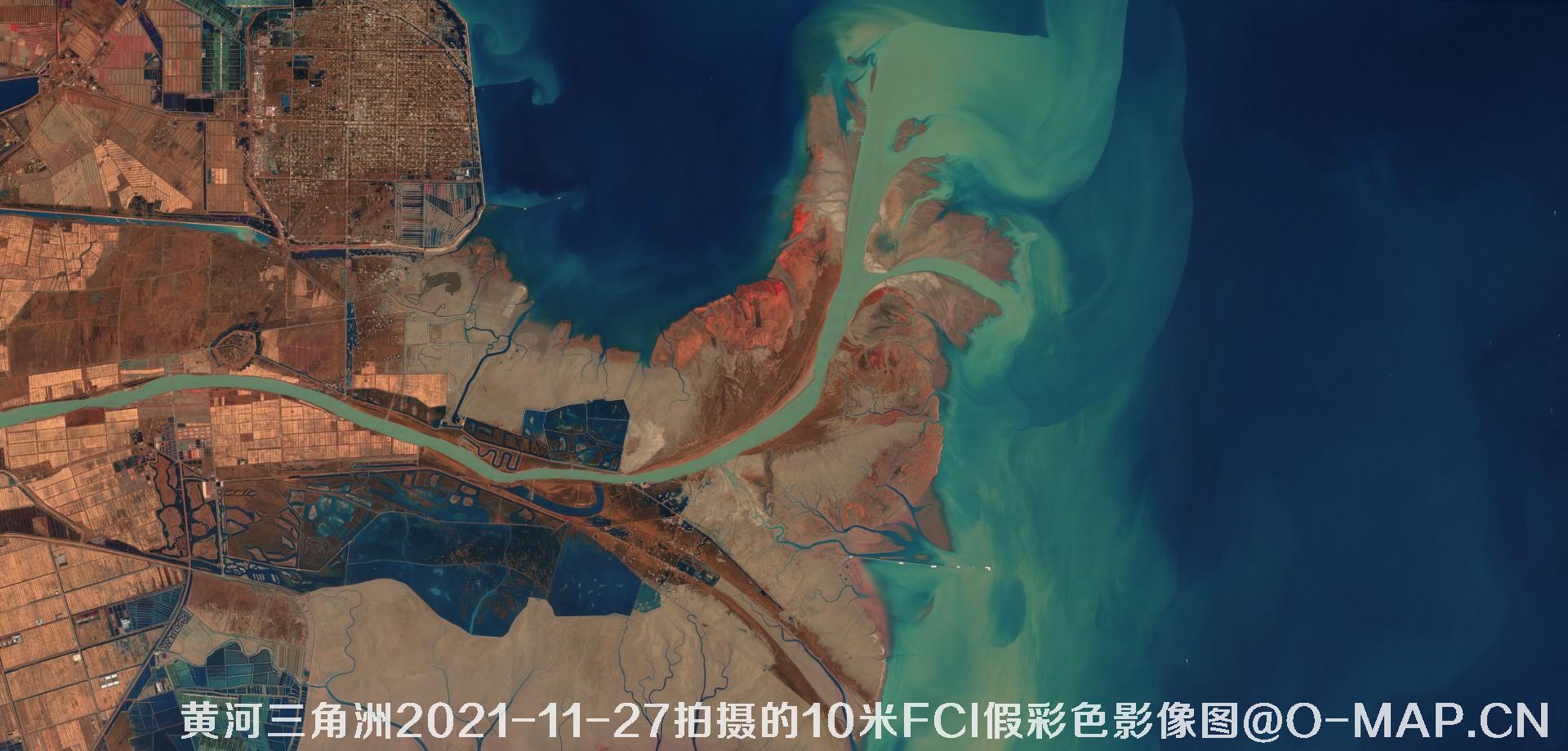 黄河三角洲2021年各月份的10米FCI假彩色影像图