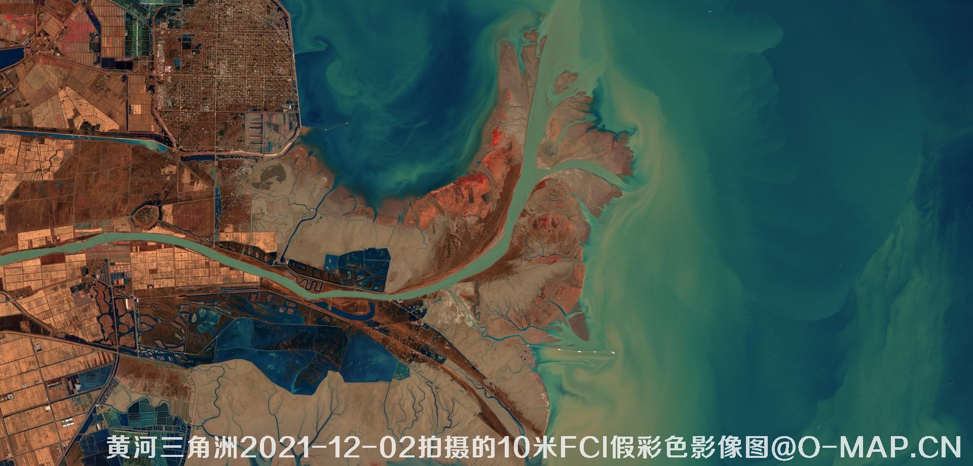 黄河三角洲2021年各月份的10米FCI假彩色影像图