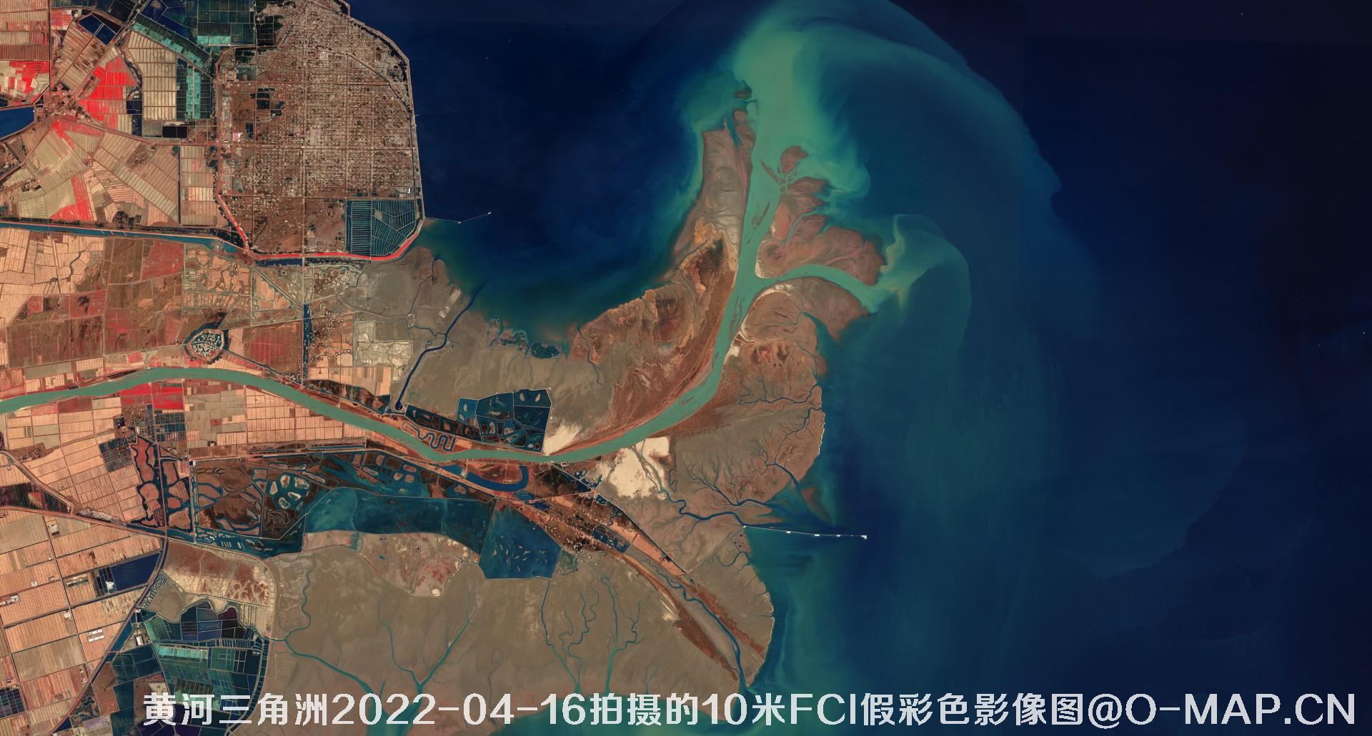 黄河三角洲2022年10米Sentinel哨兵卫星FCI假彩色影像图