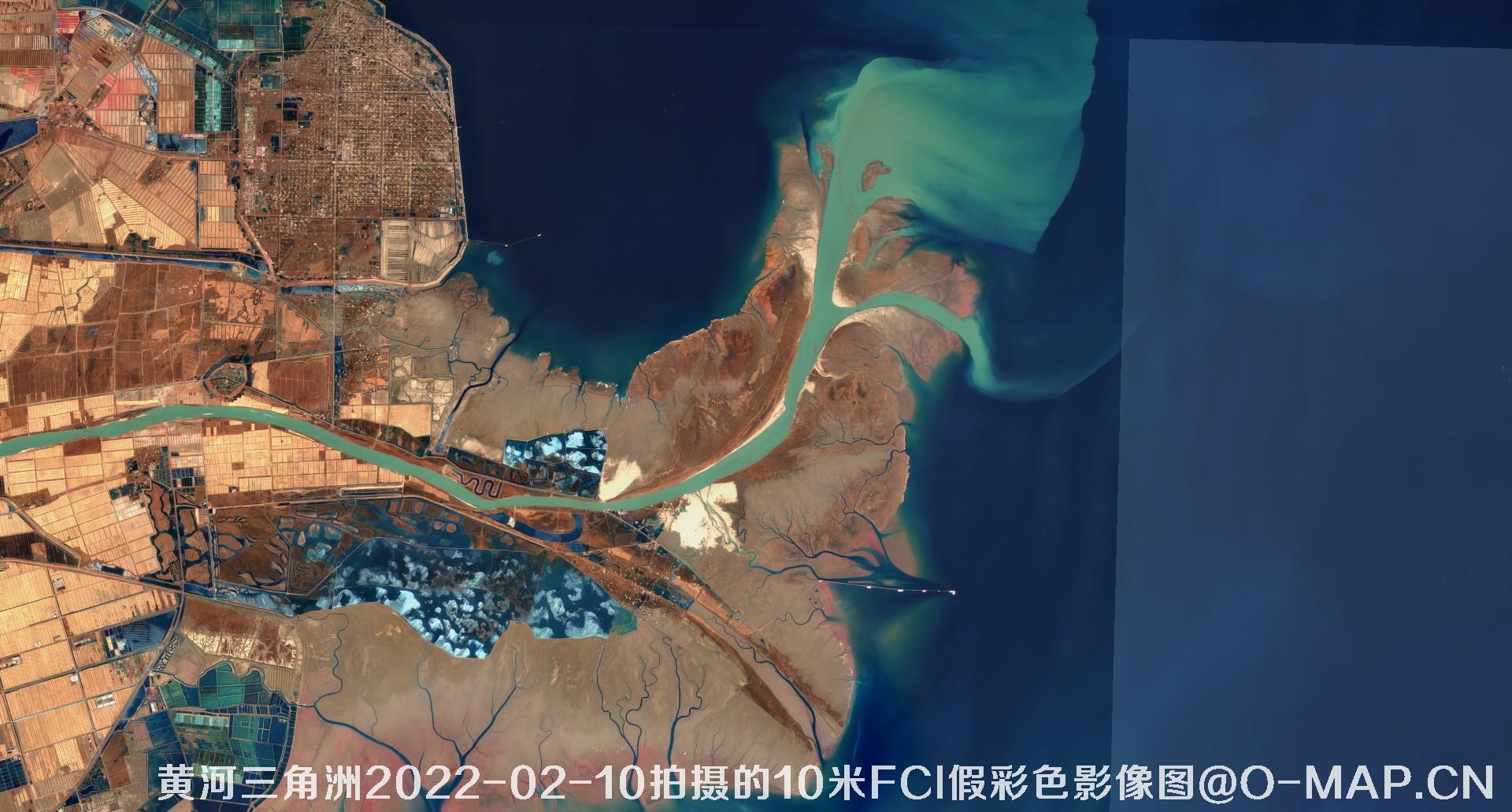 黄河三角洲2022年10米Sentinel哨兵卫星FCI假彩色影像图