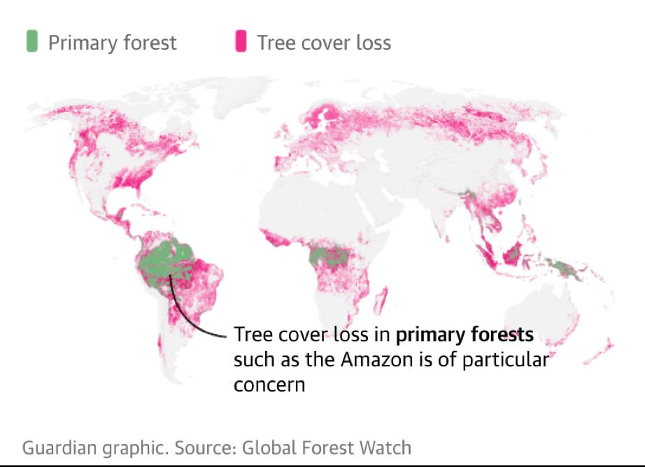 卫星影像+AI人工智能计算全球树木总量