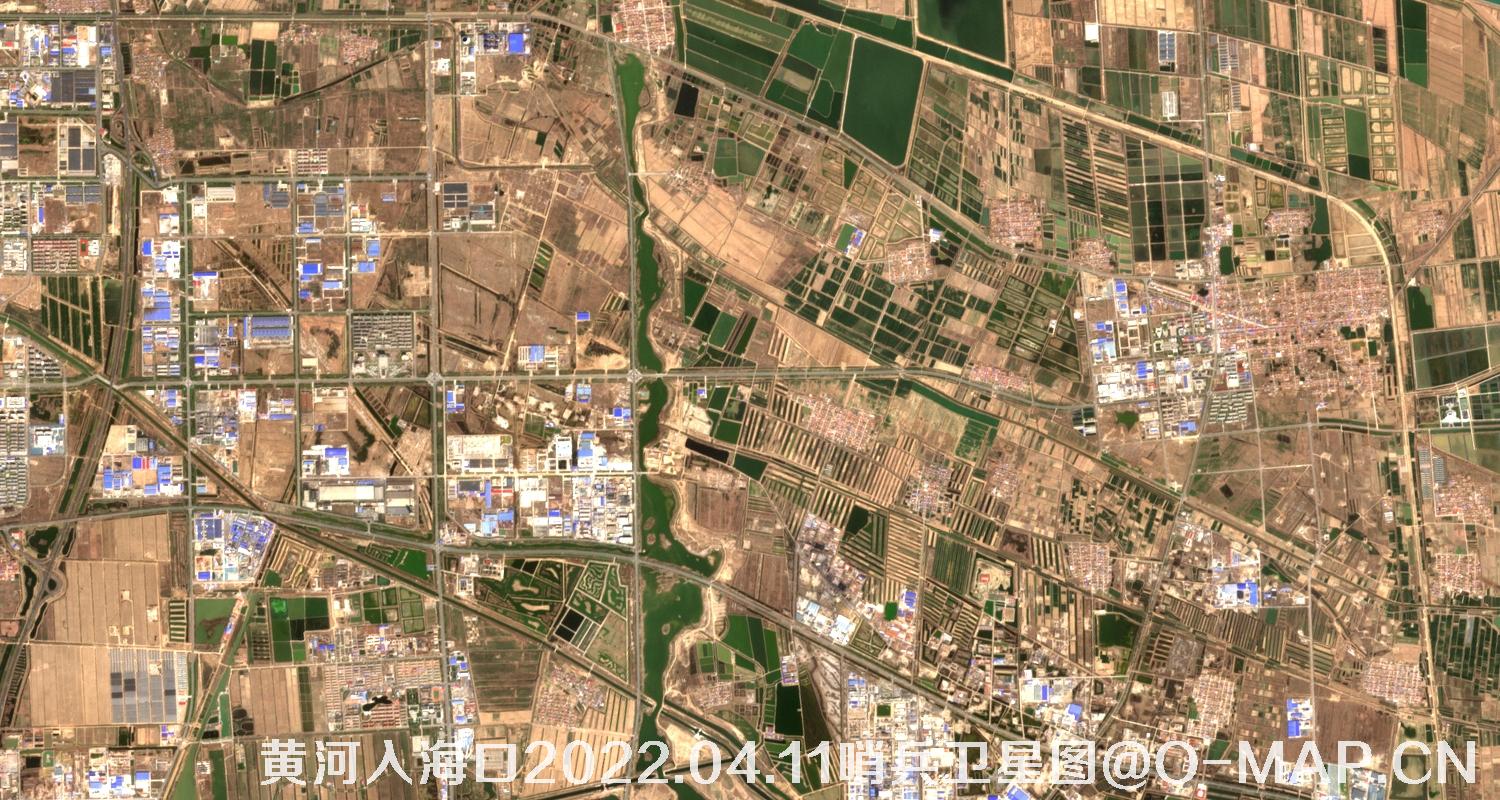 黄河入海口-山东省东营周边2022.04.11哨兵卫星图像
