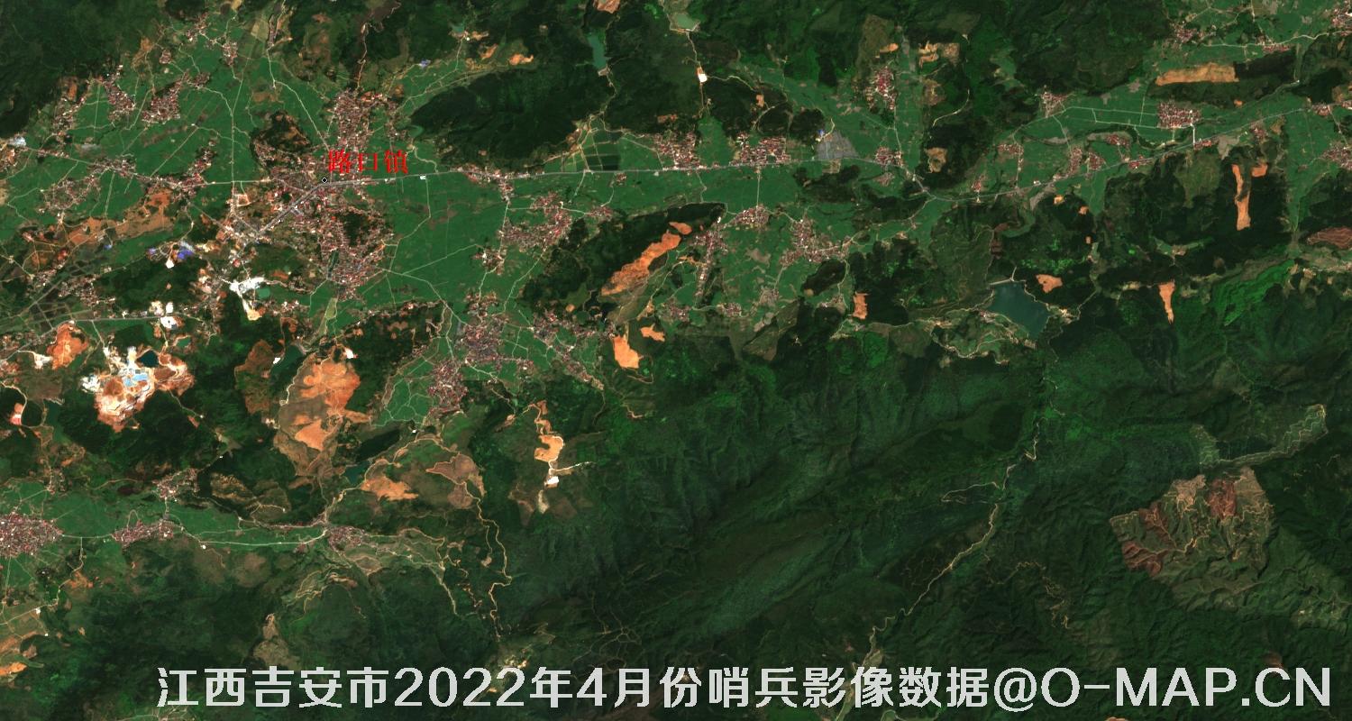 江西省吉安市2022年4月份10米哨兵卫星影像图