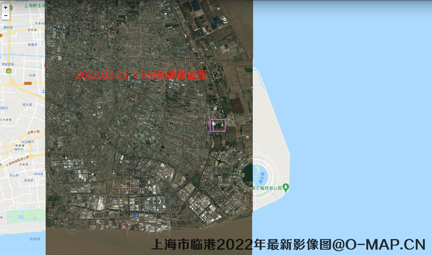 上海市临港2022年0.5米影像覆盖图-Pleiades卫星拍摄