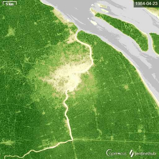 上海市1984年到2013年城市绿化变化卫星图