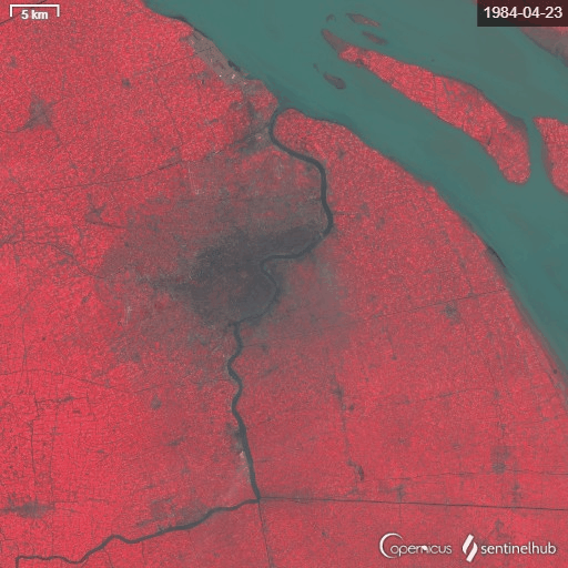 上海市1984年到2013年城市植被变化卫星图