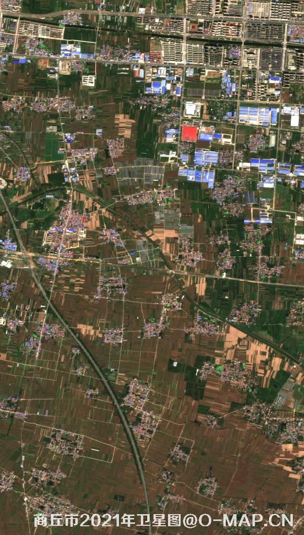 河南省商丘市2021年9月份10米卫星图