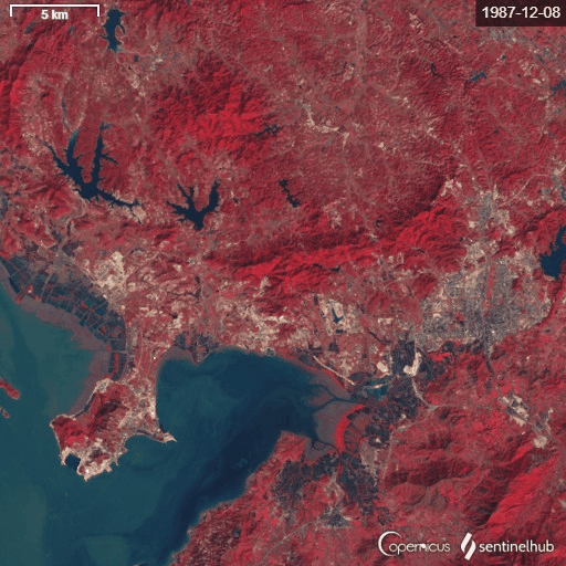 深圳市1984年到2012年城市植被变化卫星图