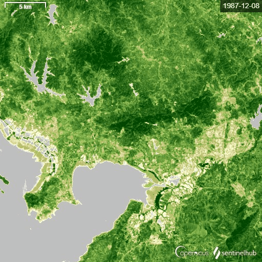 深圳市1984年到2012年城市绿化变化卫星图
