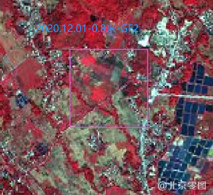 2020年12月份水稻生长周期卫星影像图（预览图）