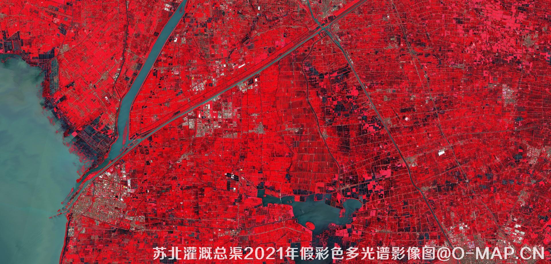 苏北灌溉总渠2021年假彩色多光谱影像图