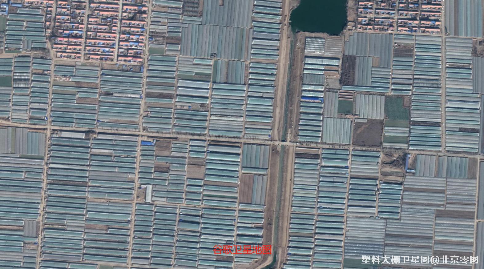 青州市和寿光市塑料大棚谷歌高清卫星图