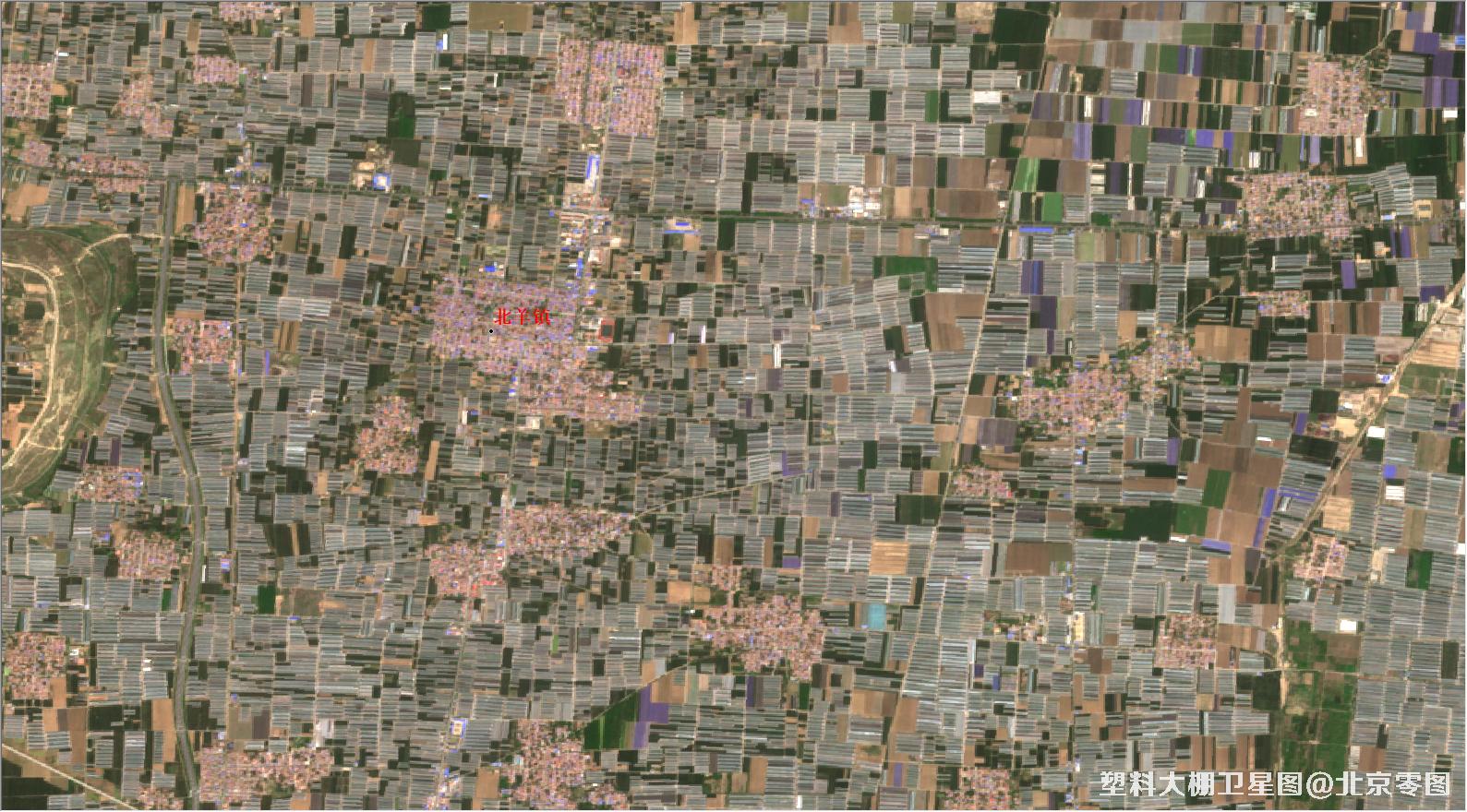 青州市和寿光市塑料大棚2021年最新10米卫星图