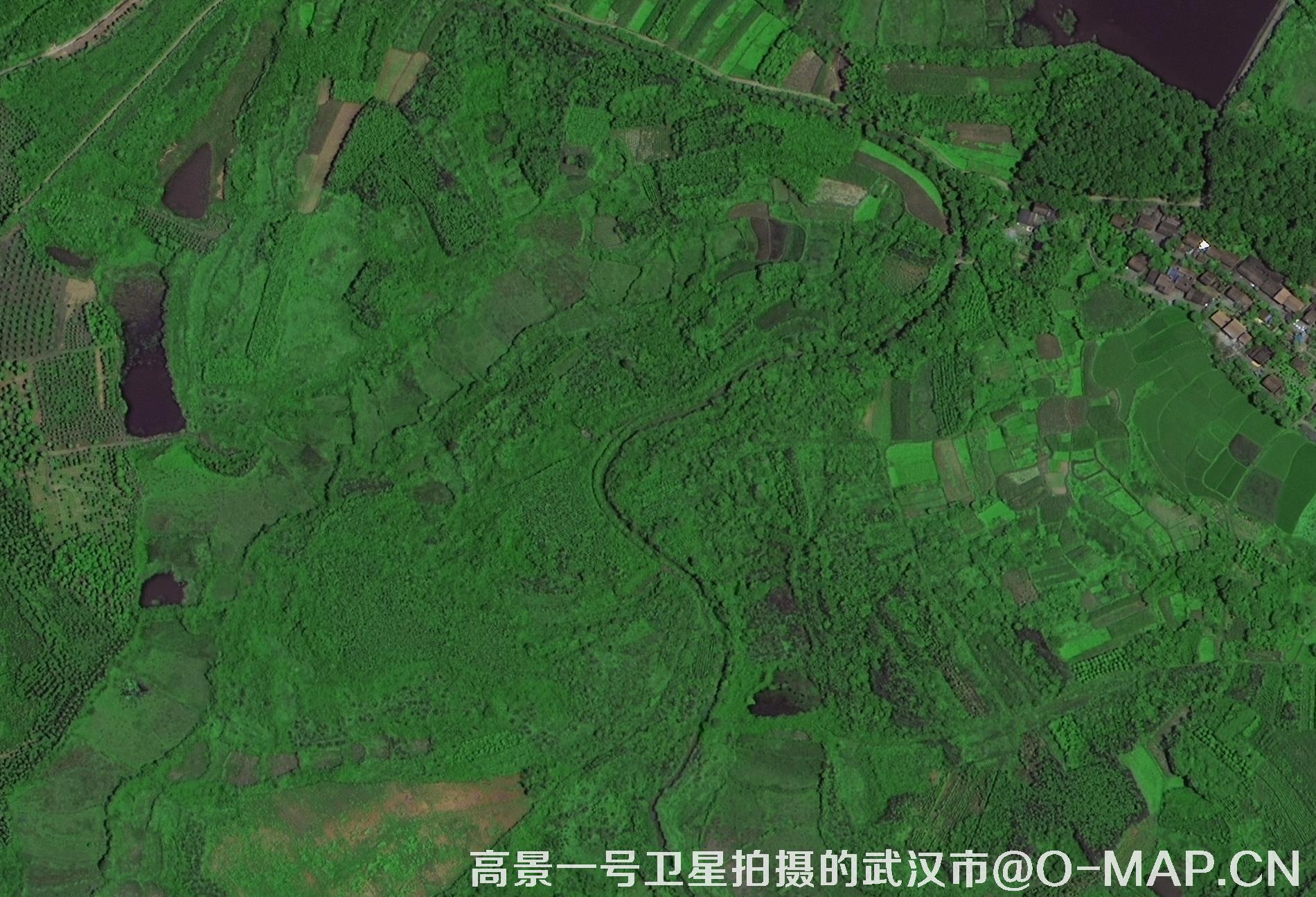 高景一号卫星拍摄的湖北省武汉市最新卫星图-农村房屋农田林地