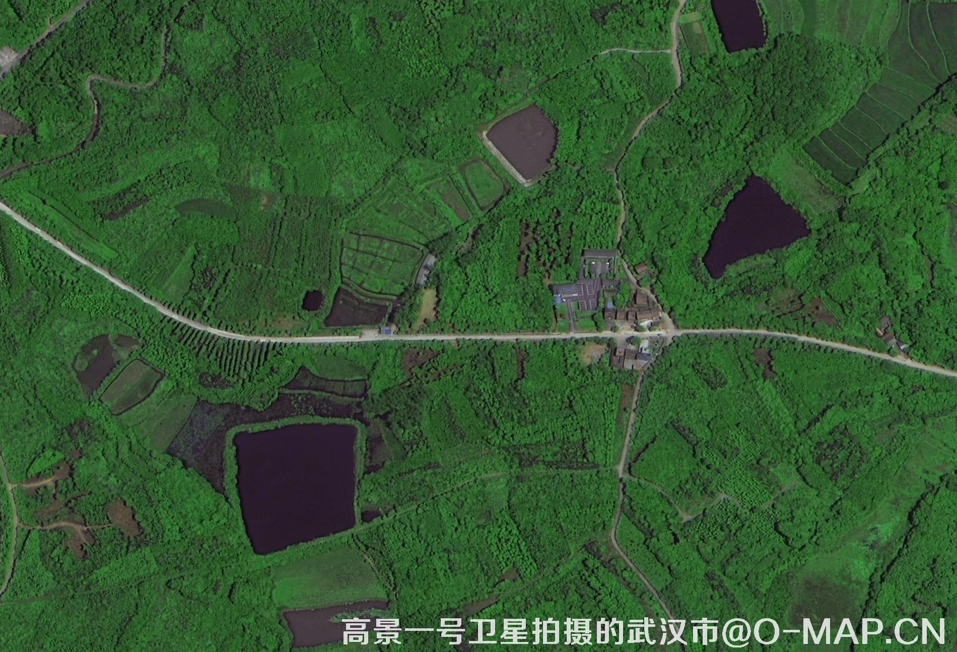 高景一号卫星拍摄的湖北省武汉市最新卫星图-乡村公路