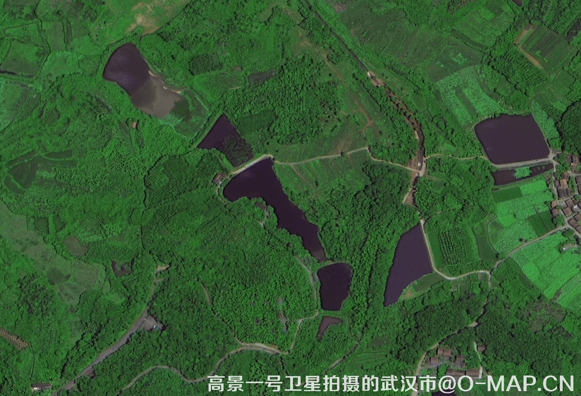 高景一号卫星拍摄的湖北省武汉市最新卫星图-坑塘