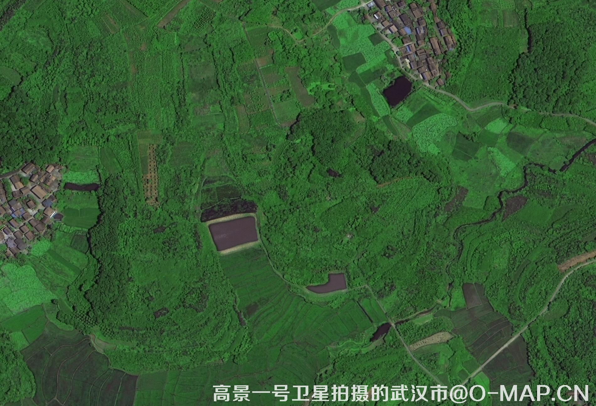 高景一号卫星拍摄的湖北省武汉市最新卫星图-林地