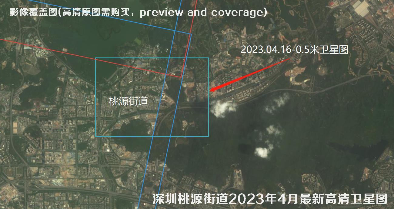 广东省深圳桃源街道2023年【4月份-3月份】最新高清卫星影像图