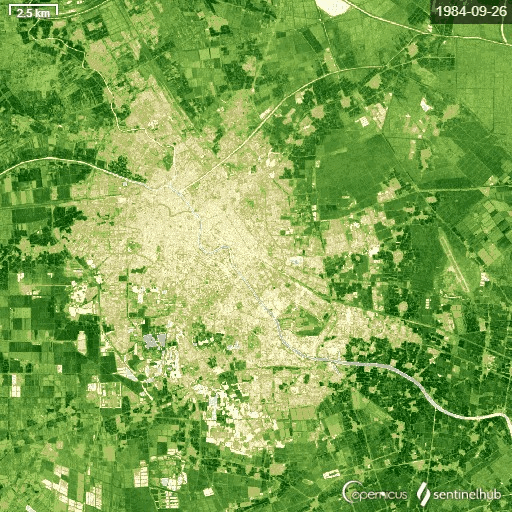 天津市1984年到2013年城市绿化变化卫星图