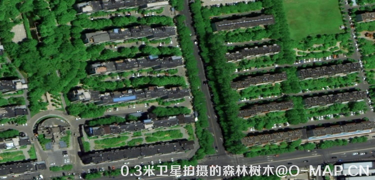 0.3米卫星拍摄的森林树木卫星图片