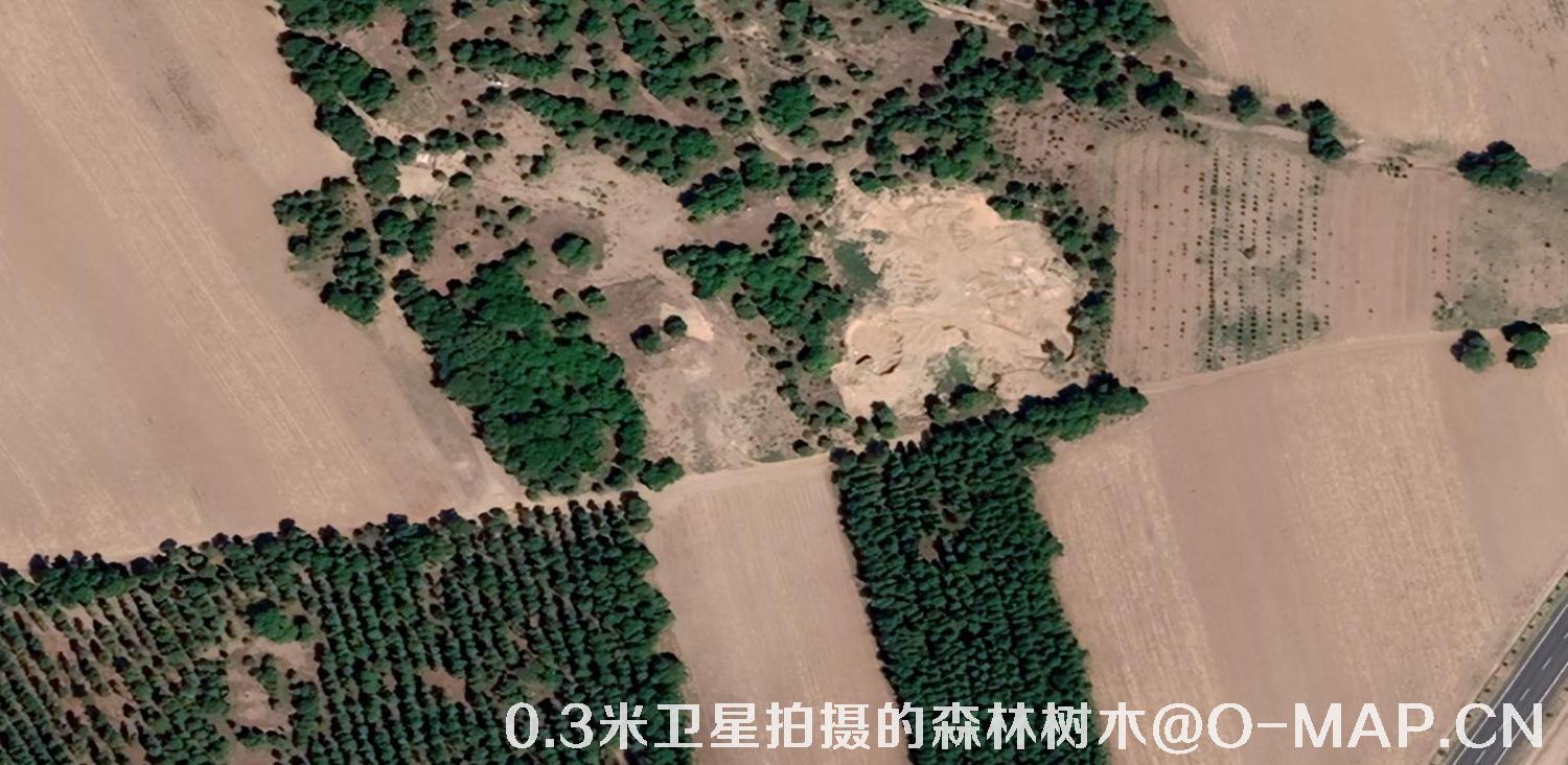 0.3米卫星拍摄的森林树木卫星图片