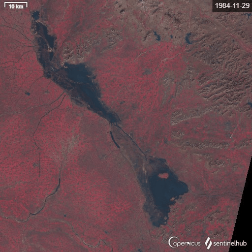 微山湖1984年到2013年植被变化卫星图