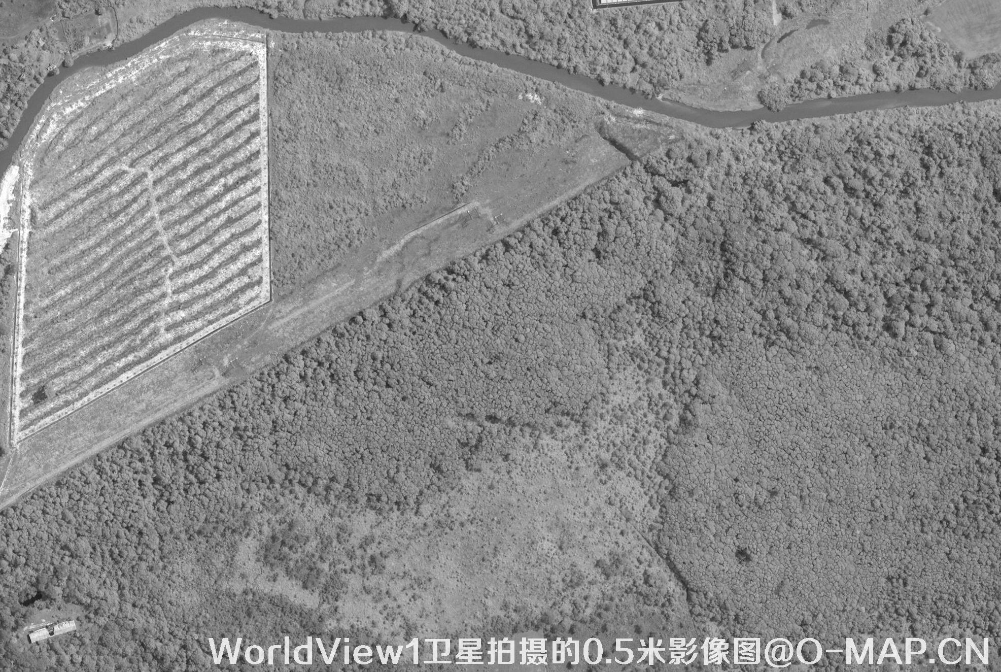 0.5米WV1黑白卫星拍摄的高清图片