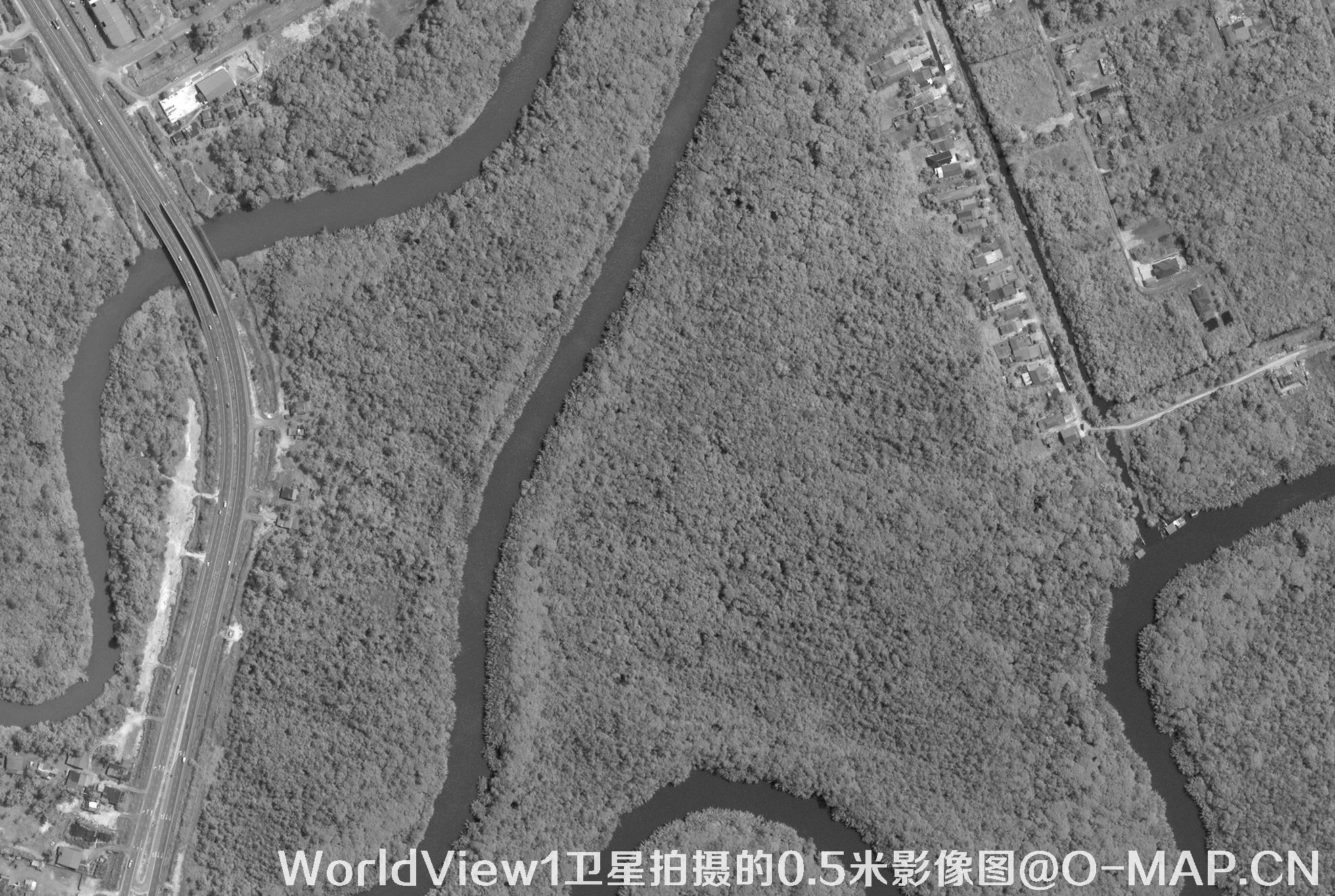 0.5米WorldView1黑白卫星图购买样例