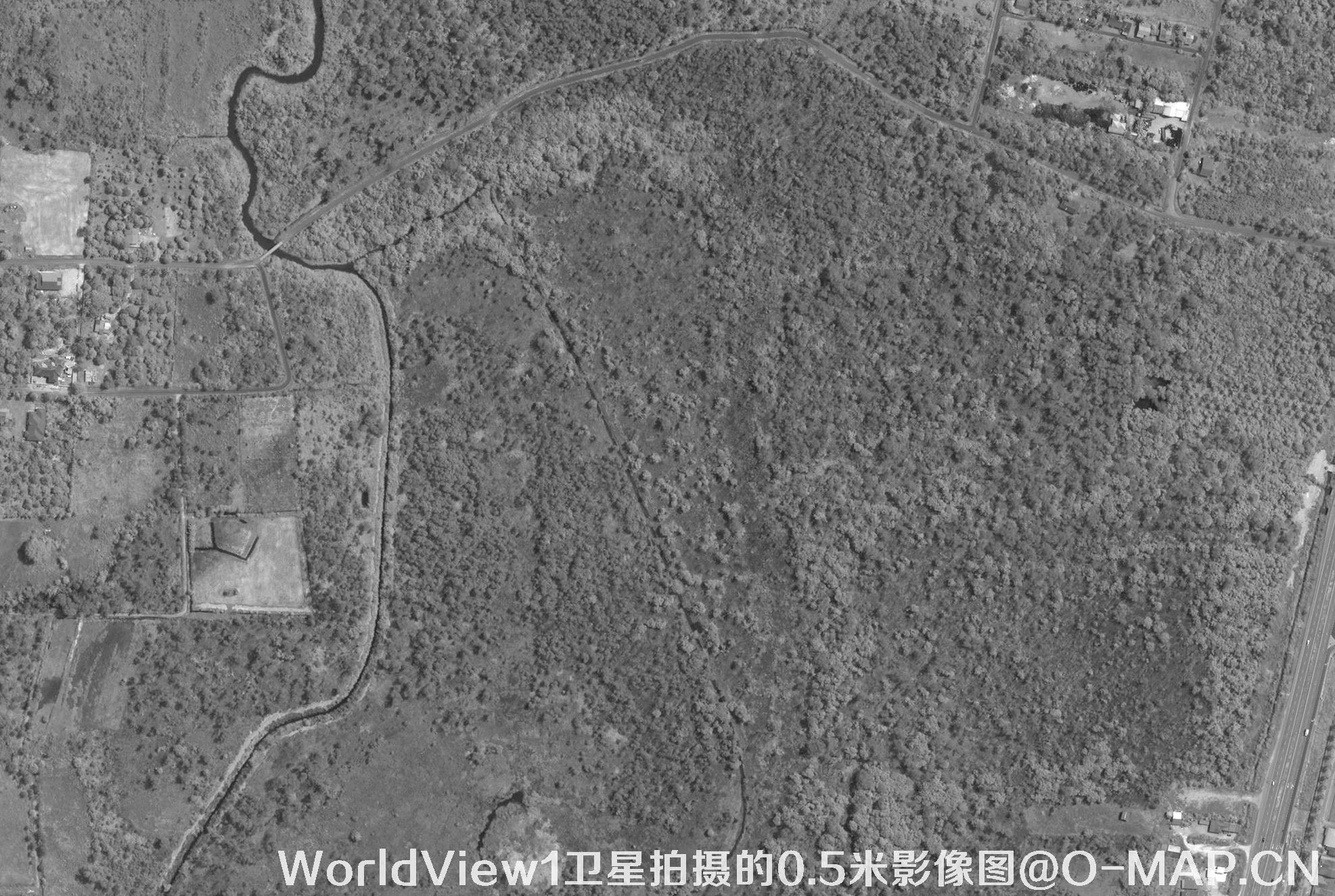WorldView1卫星拍摄的0.5米分辨率黑白图片