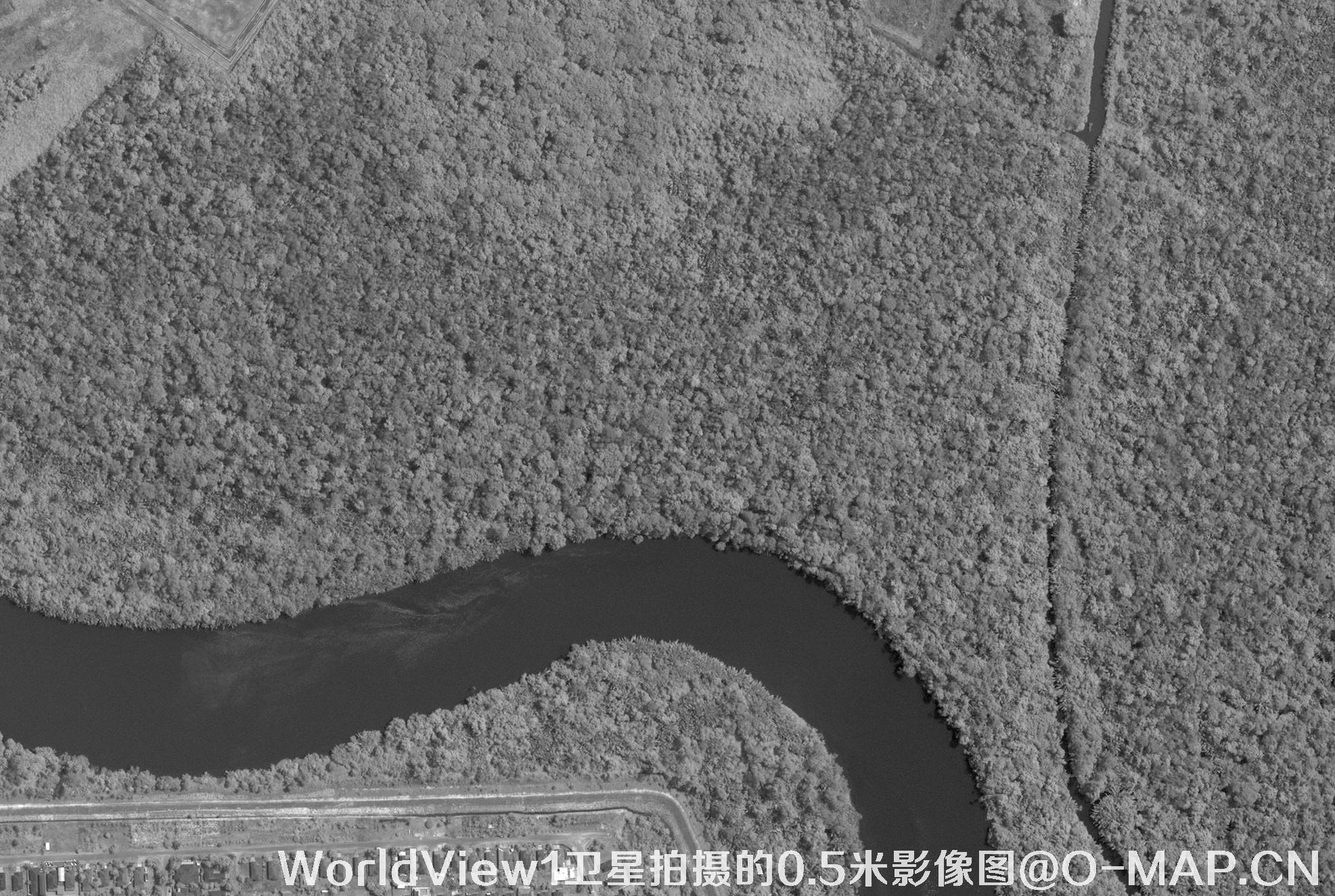 WorldView1卫星拍摄的0.5米分辨率黑白图片