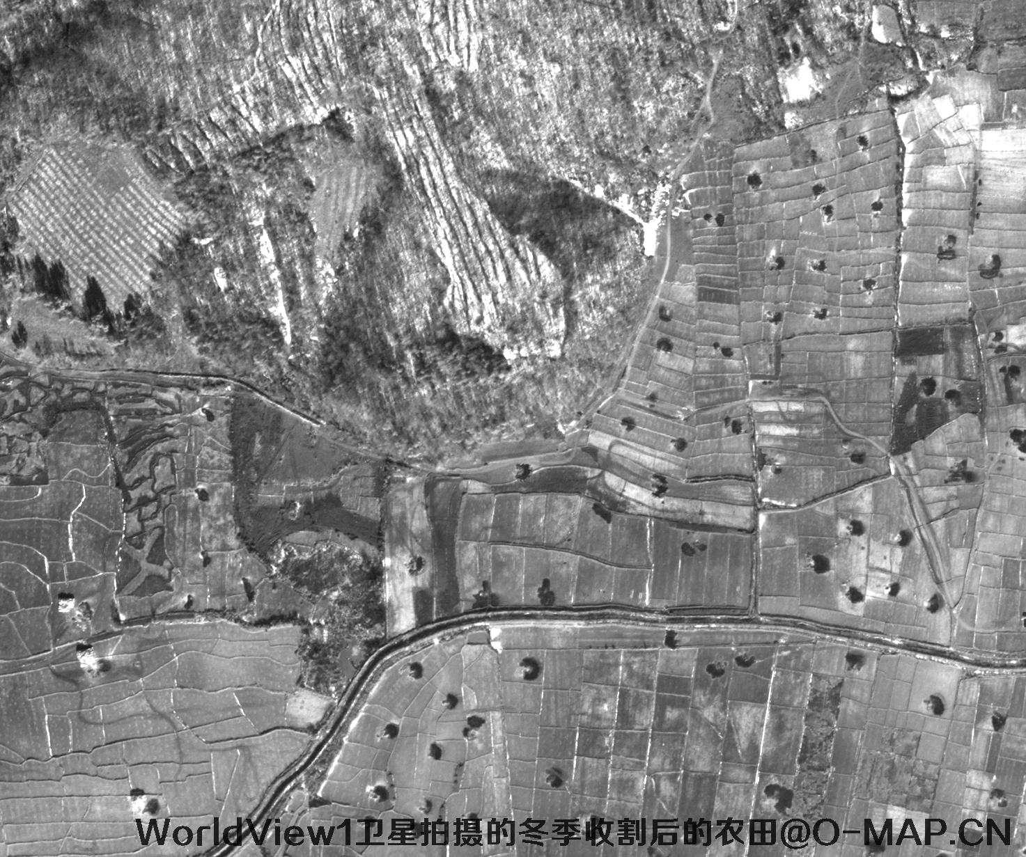 WorldView1卫星拍摄的黑龙江省冬季收割后的农田