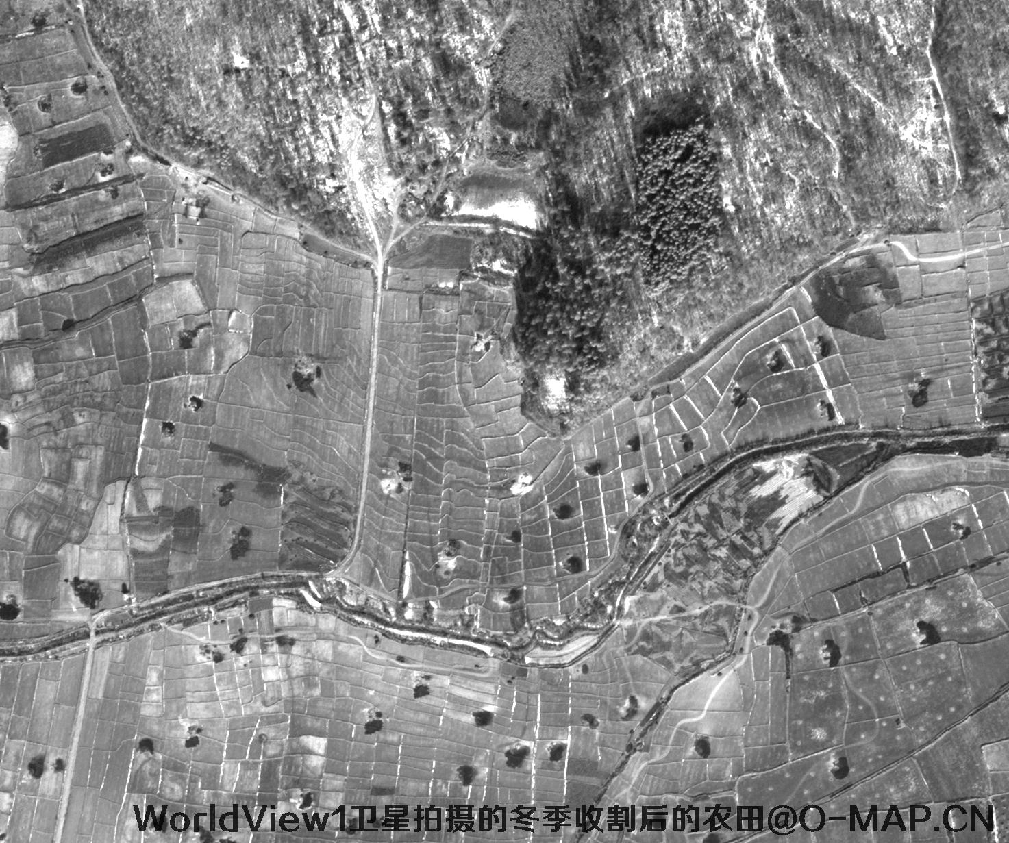 WV1卫星拍摄的高清图片