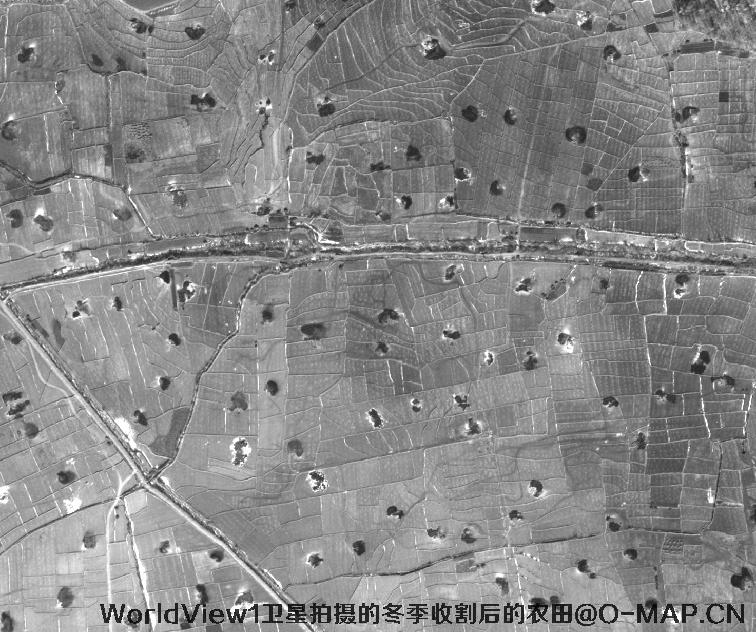 WorldView1卫星拍摄的黑龙江省冬季收割后的农田