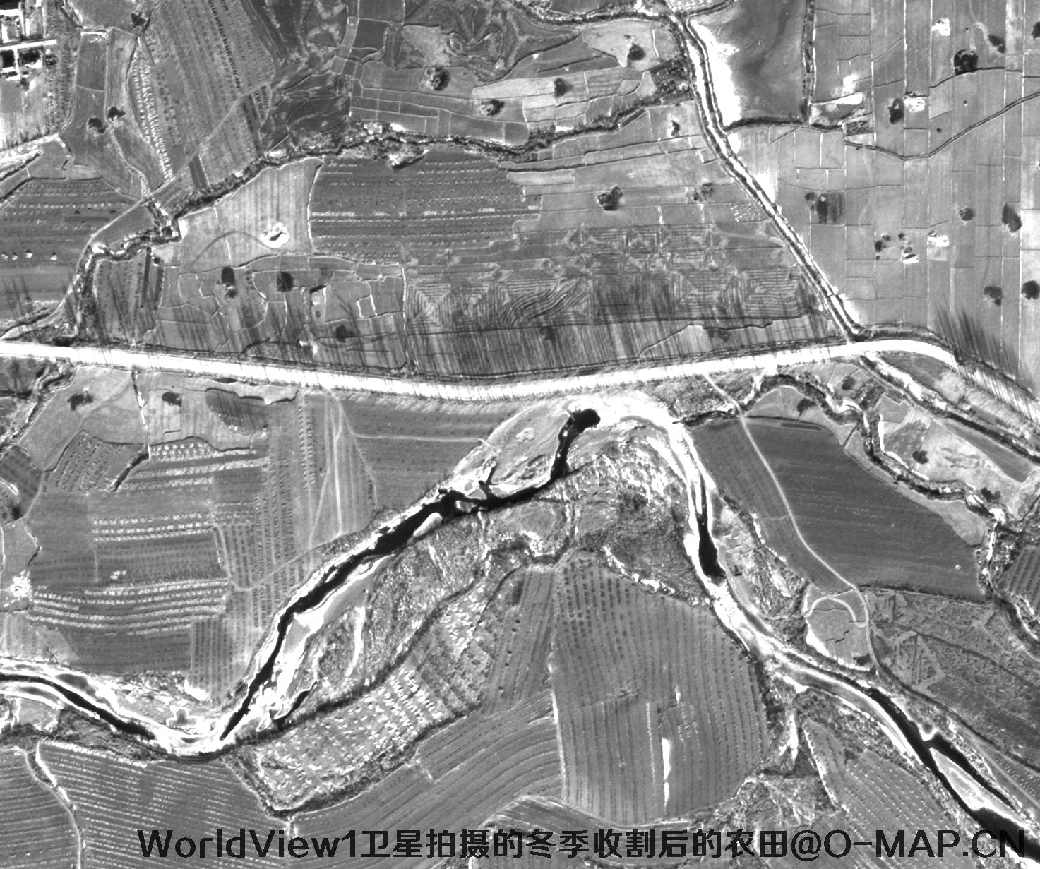 WorldView1卫星拍摄的黑龙江省冬季收割后的农田
