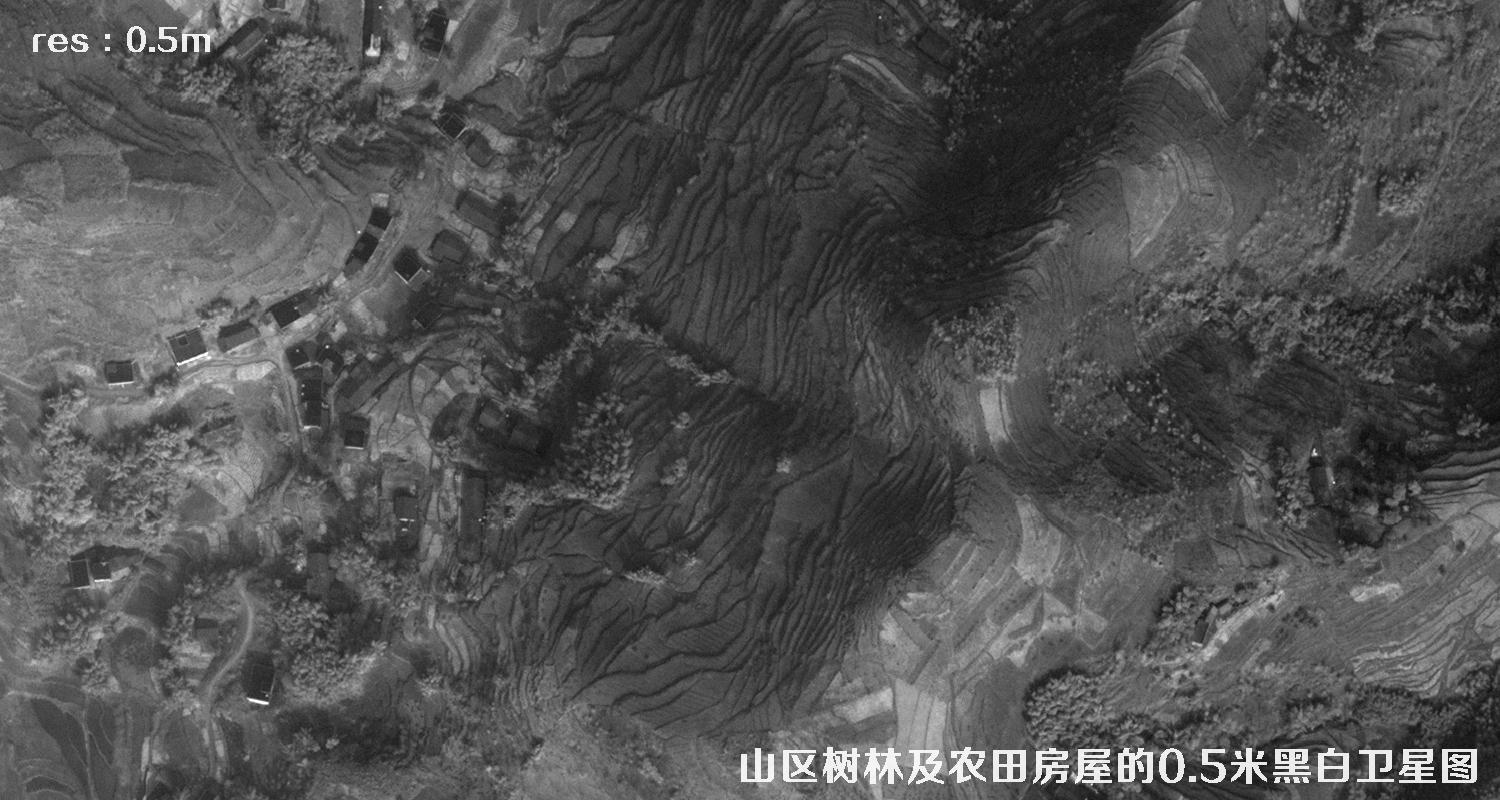 美国WorldView1卫星拍摄的山区森林和农田房屋卫星图
