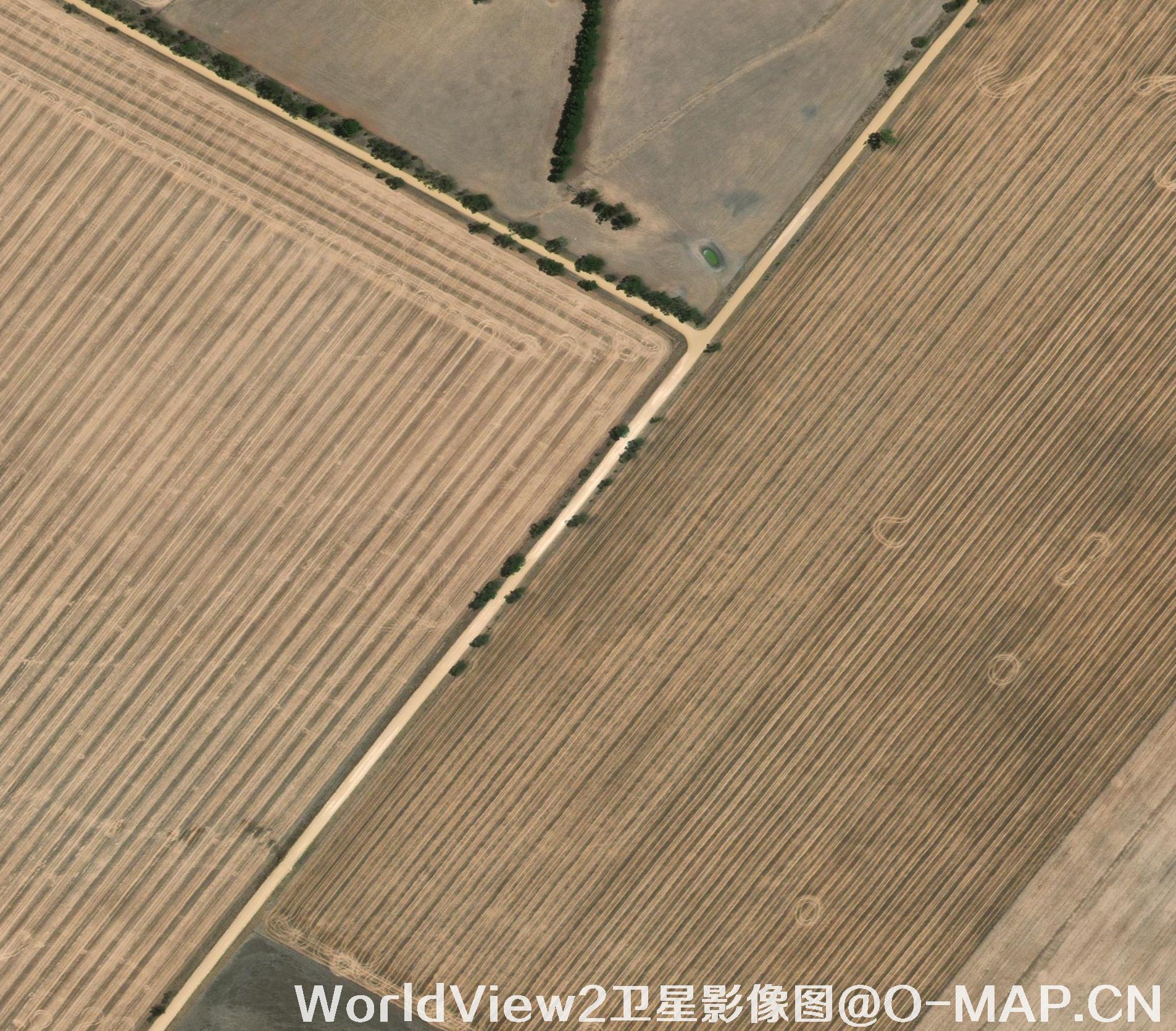 黑龙江省农业遥感卫星监测图-宝清县853农场遥感卫星图-SWIR短波红外影像图（8）