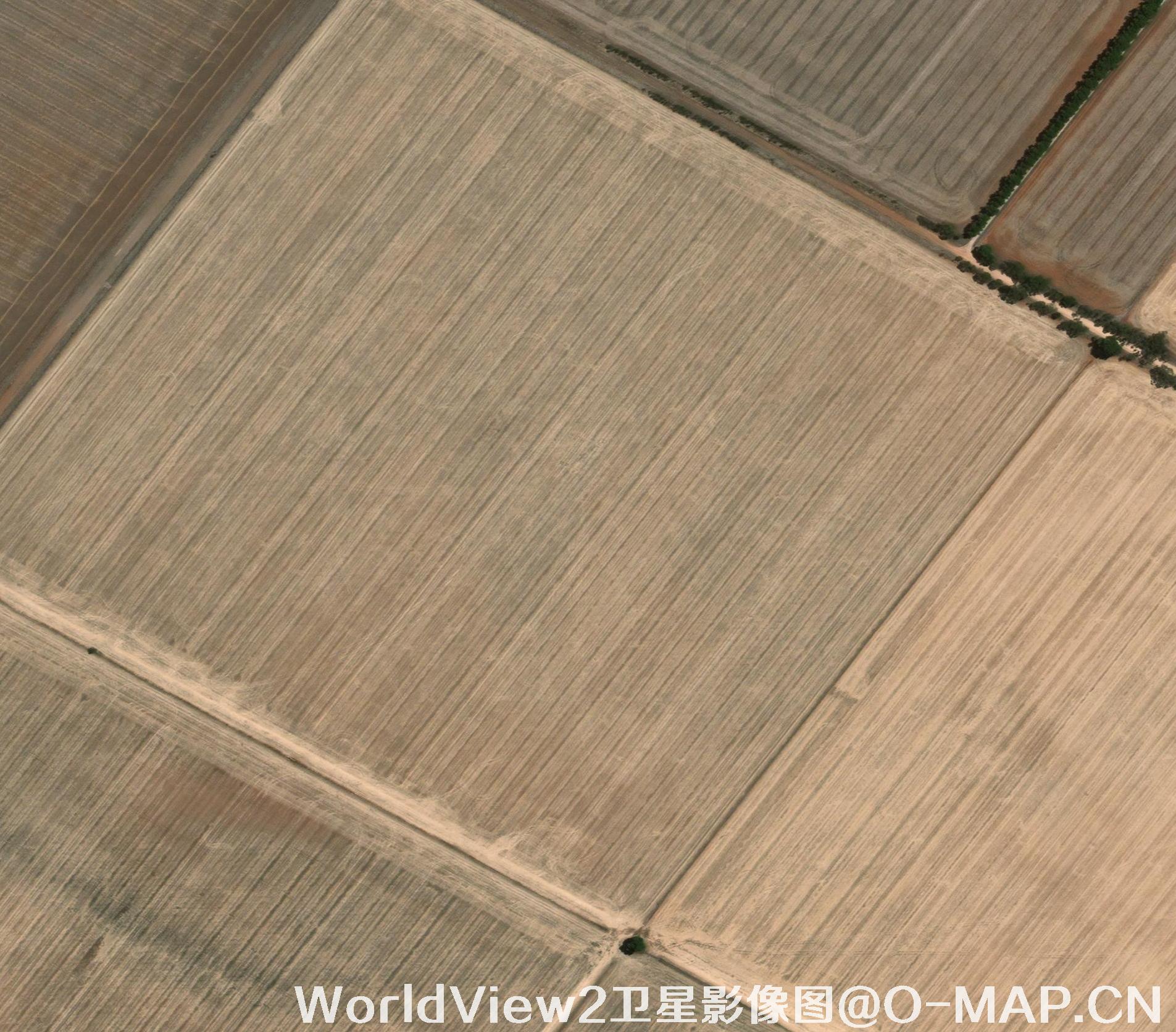 耕地土壤墒情动态监测与评价—长光卫星技术股份有限公司