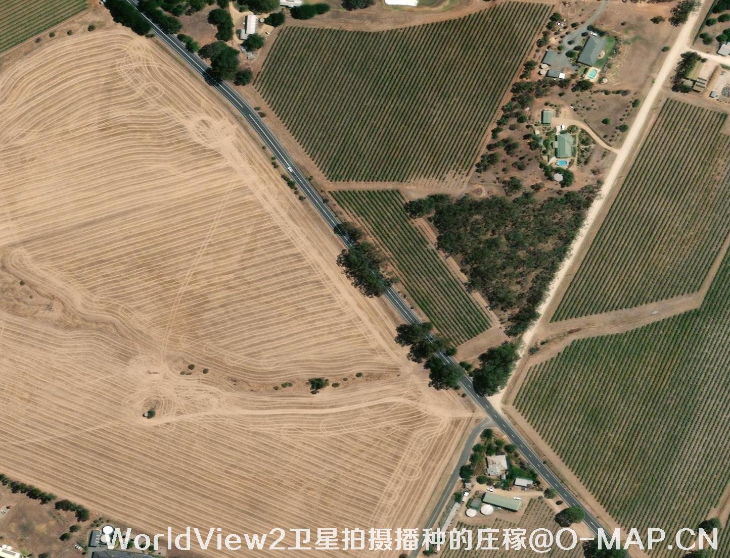 WorldView2卫星拍摄的已经播种的庄稼