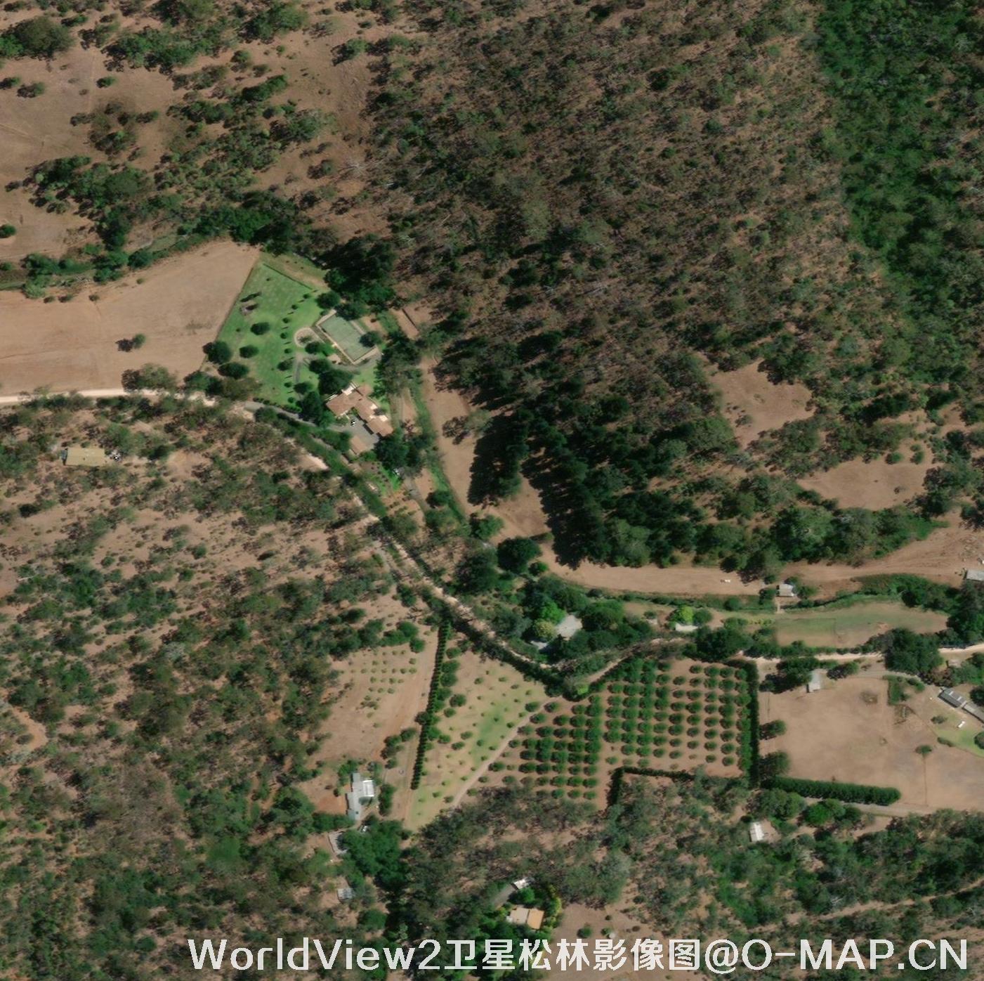 WV2卫星拍摄的0.5米卫星图