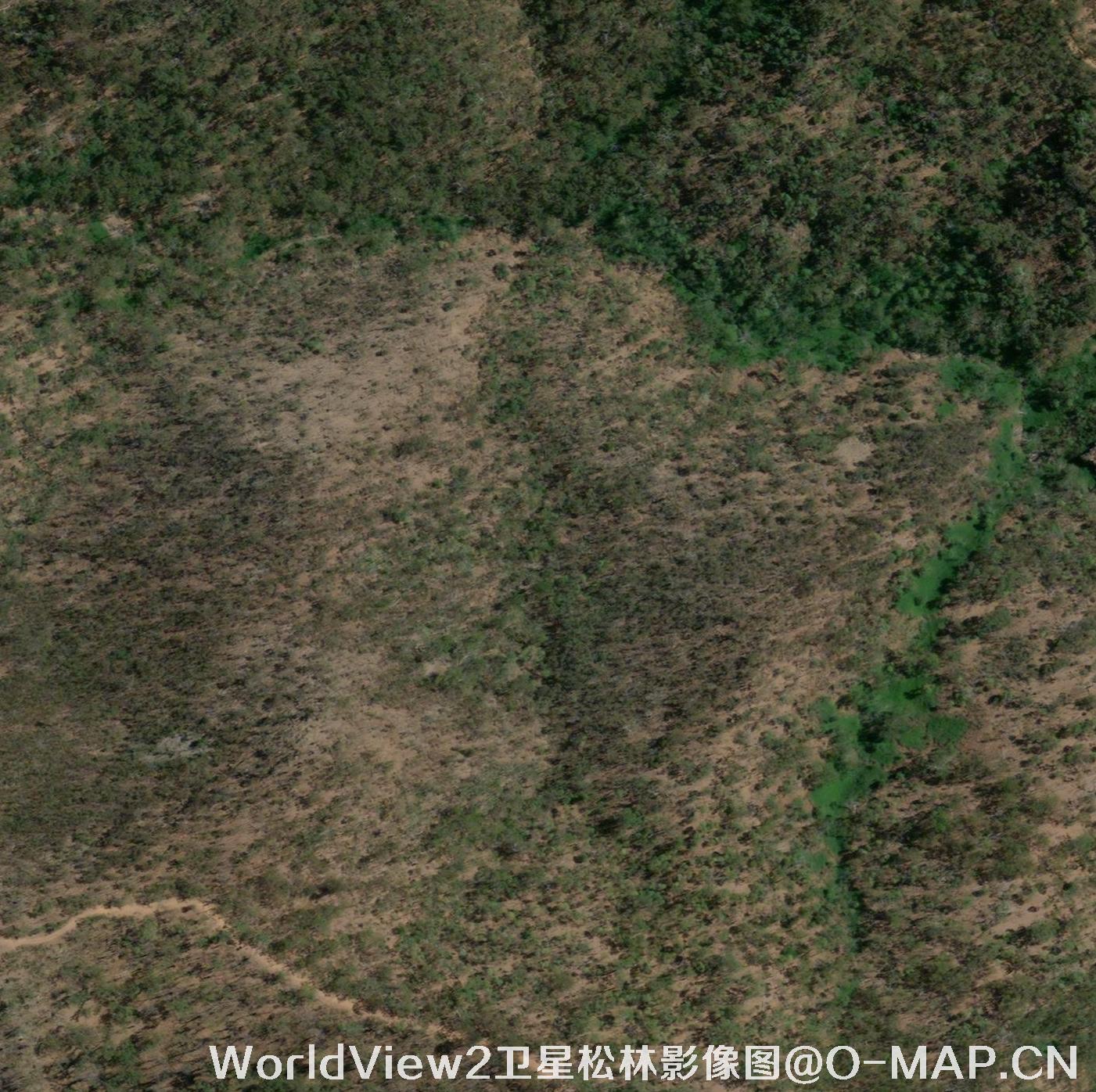 美国WV2卫星拍摄的高清地图图片