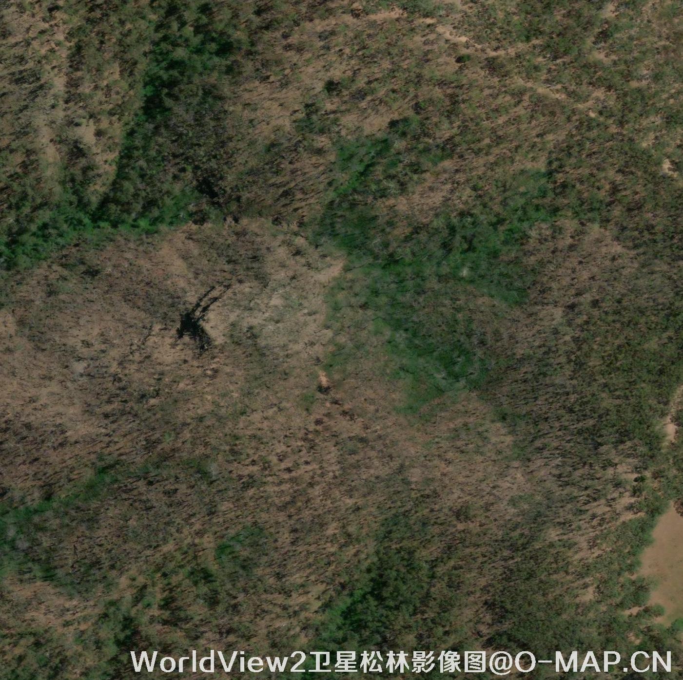 WorldView2卫星拍摄的高清图片