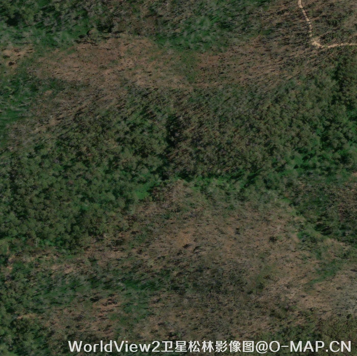 WorldView2卫星拍摄的0.5米分辨率卫星图