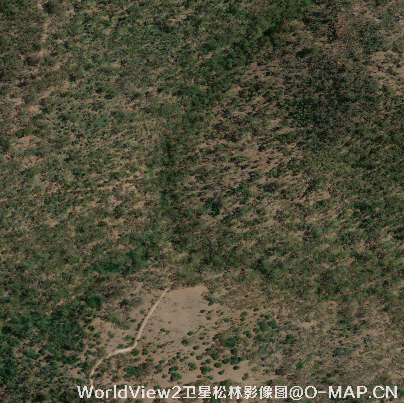 美国0.3米WV3卫星拍摄的卫星影像图片