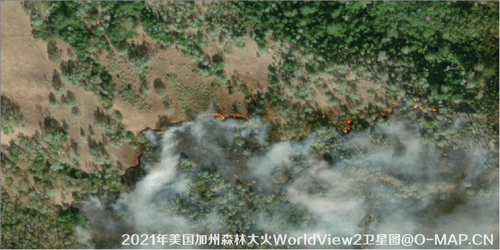2021年美国加州森林大火WorldView2卫星图