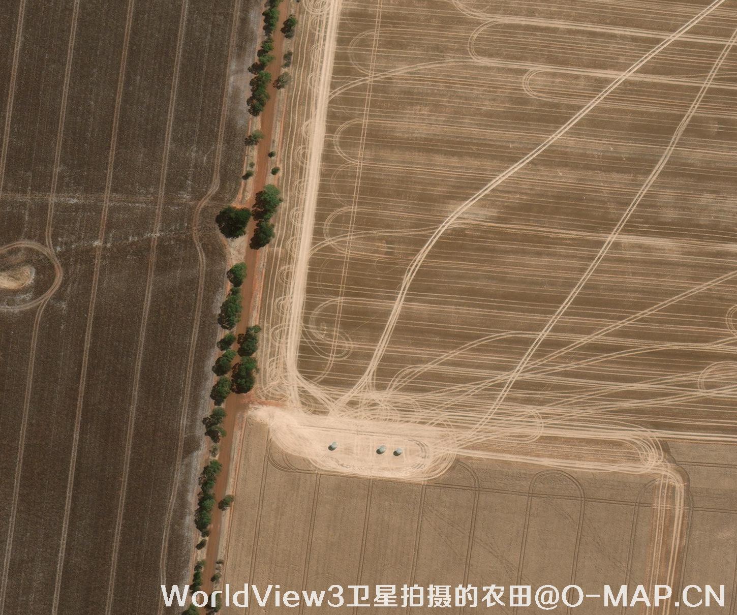 0.3米分辨率卫星图