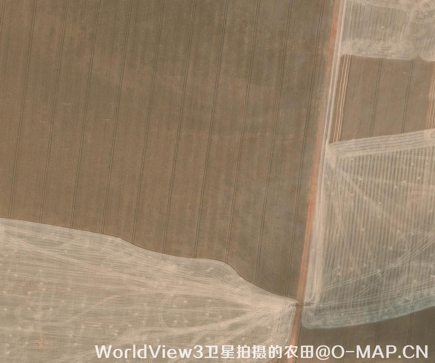 0.3米分辨率的农田WorldView3卫星图