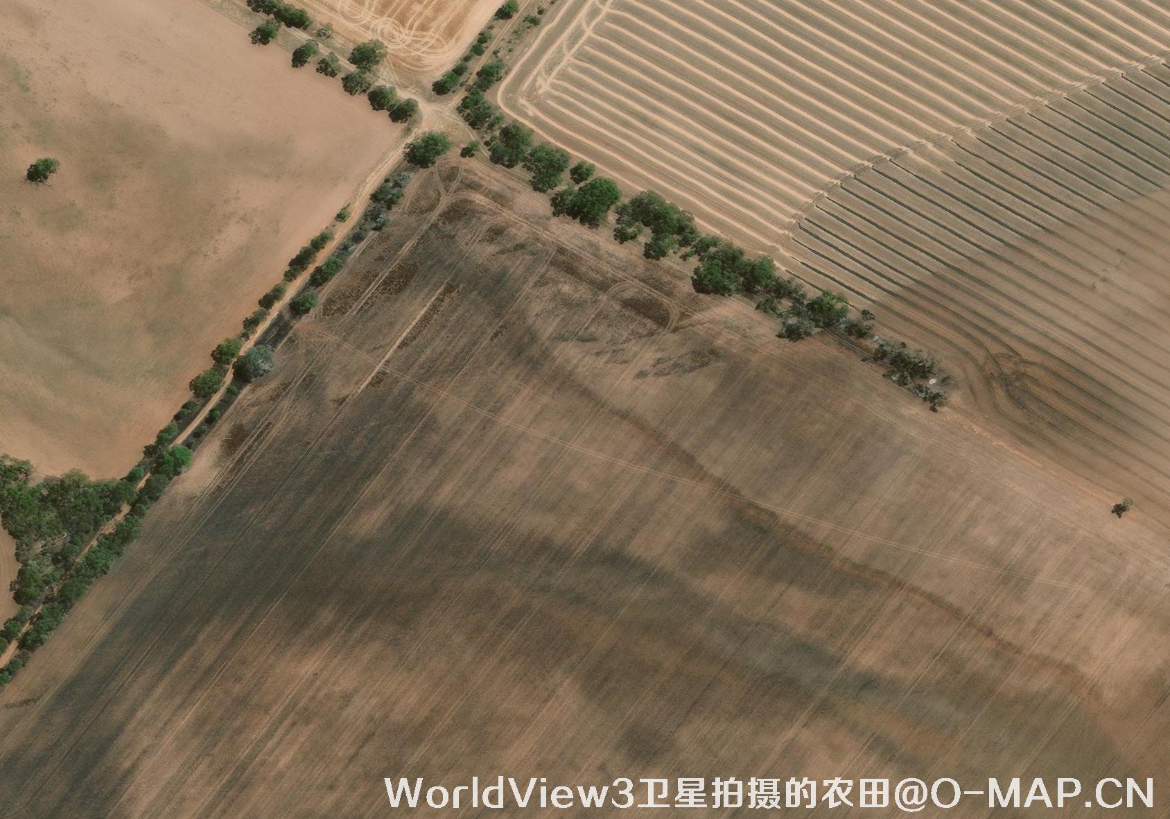 WorldView3卫星拍摄的影像效果图